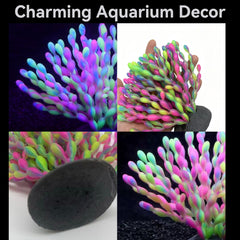 ZtohPyo en aquarium avec éclairage bleu mettant en valeur fluorescence