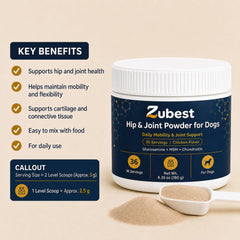 Zubest poudre gros plan illustrant la texture fine pour un mélange homogène