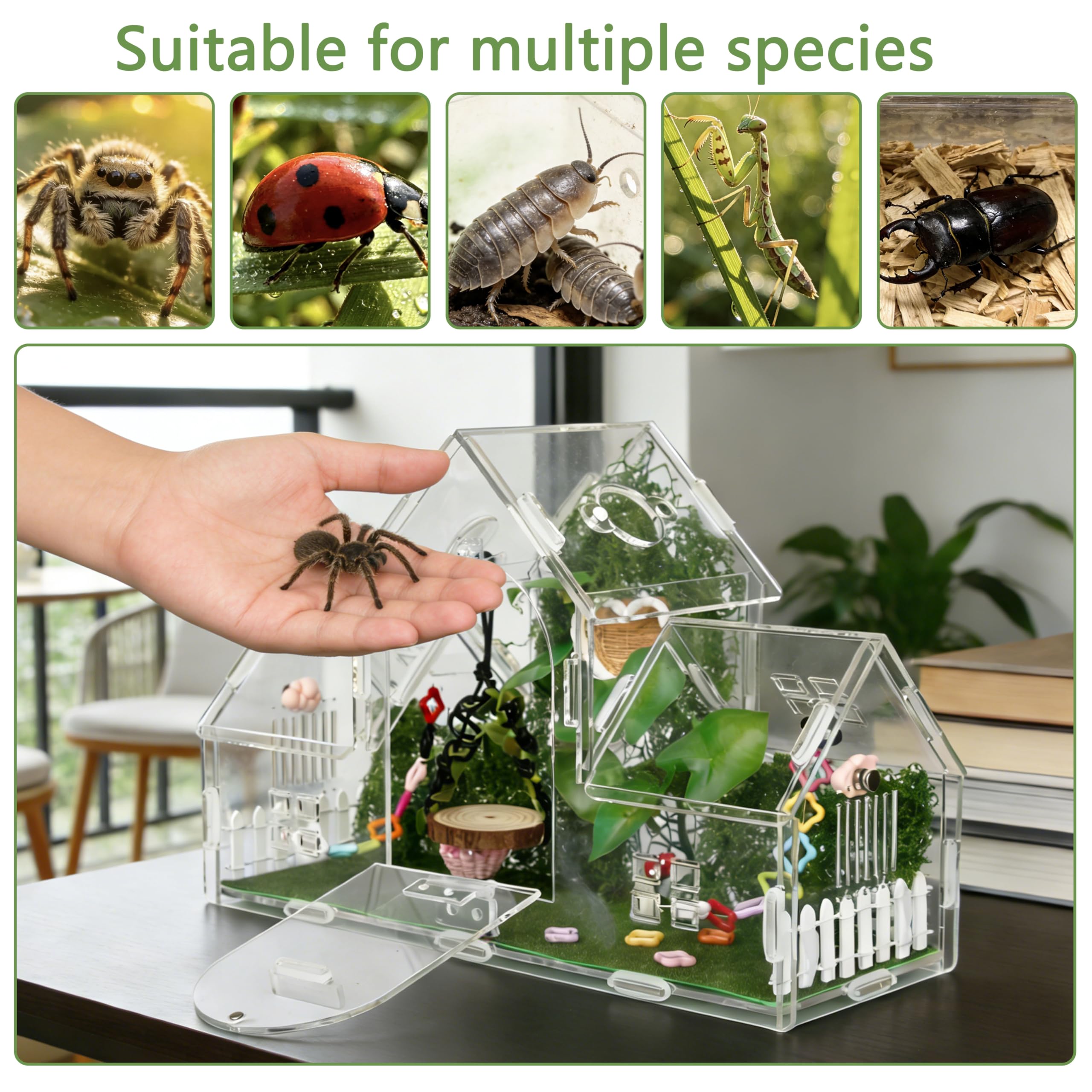 ZUIFIANLE vue externe du terrarium démontrant ventilation et esthétique moderne