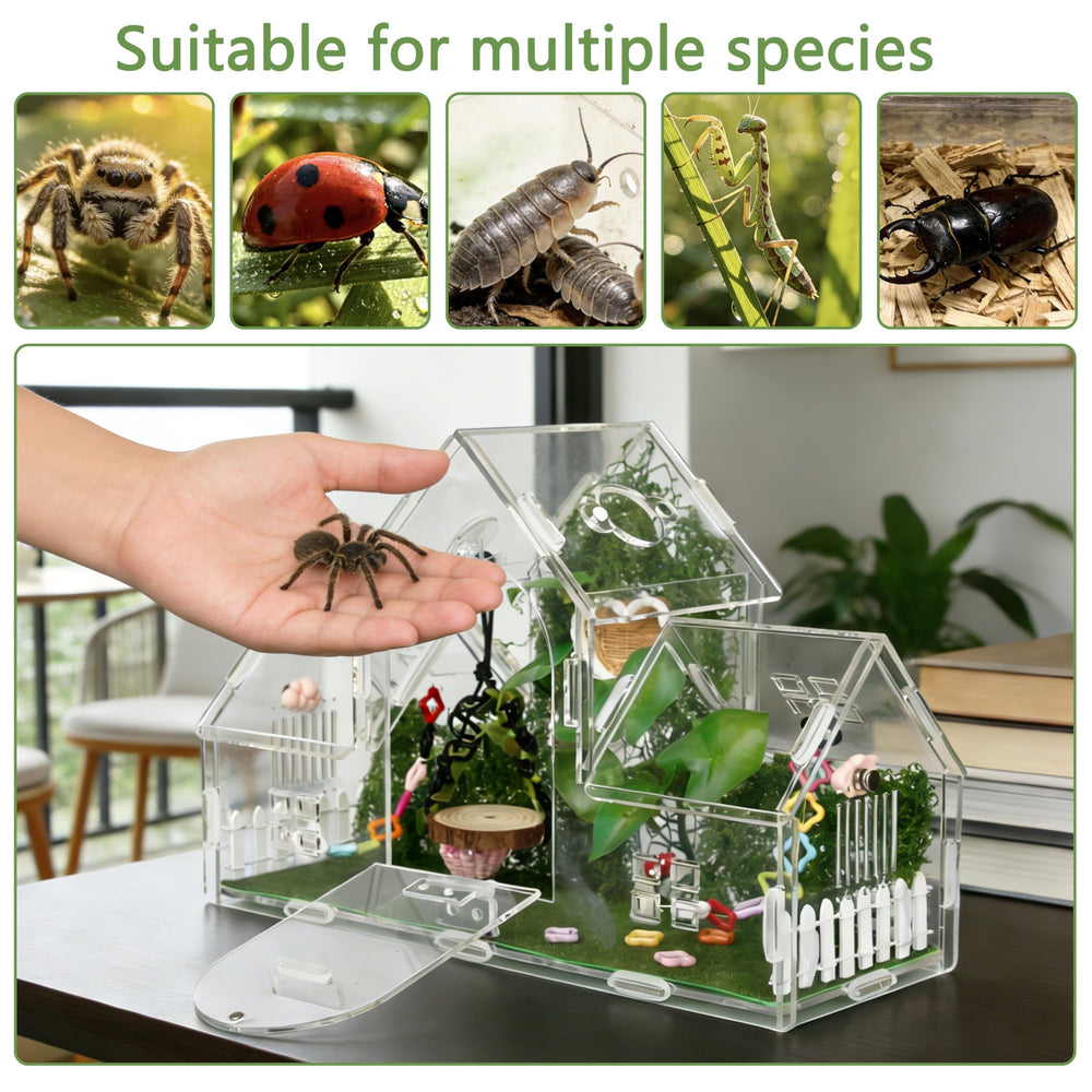 ZUIFIANLE vue externe du terrarium démontrant ventilation et esthétique moderne