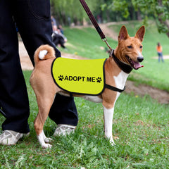 Zuo Bao veste Adopt Me tableau de mesures pour choisir la taille parfaite