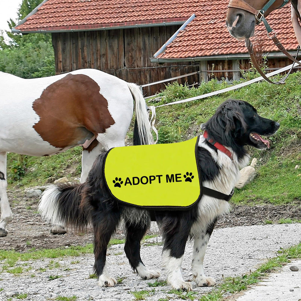 Zuo Bao veste Adopt Me portée en promenade favorisant interactions sûres et visibles