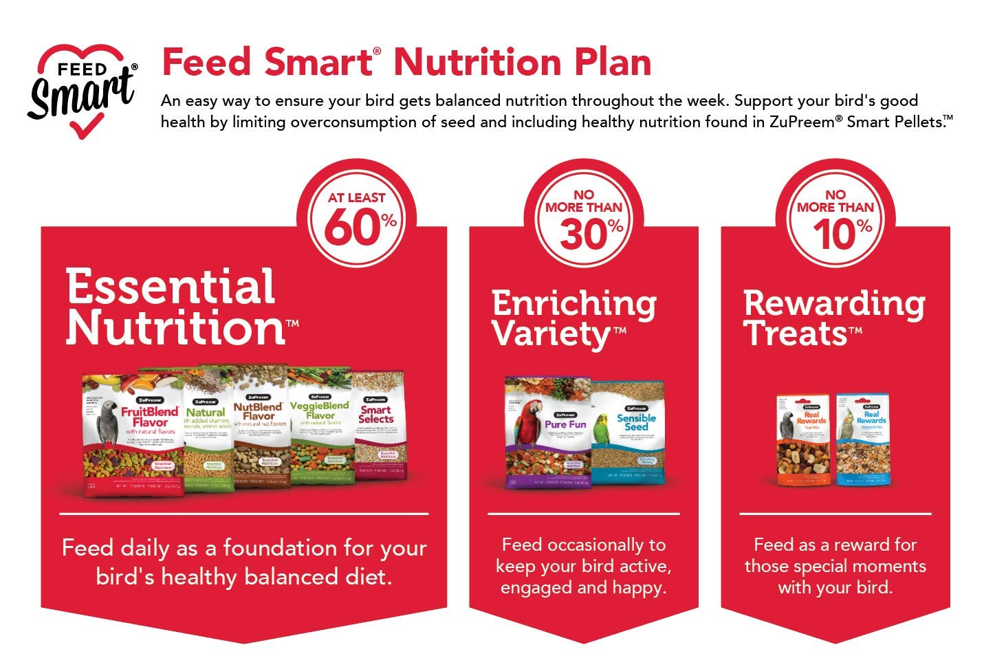 ZuPreem Sensible Seed en plat d'enrichissement stimulant le foraging
