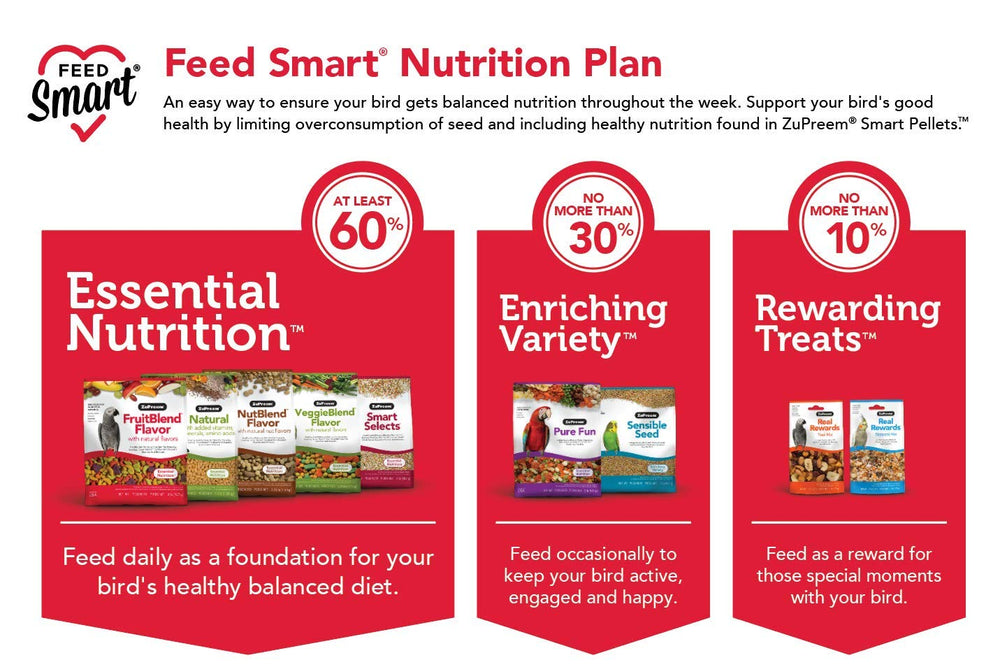 ZuPreem Sensible Seed en plat d'enrichissement stimulant le foraging