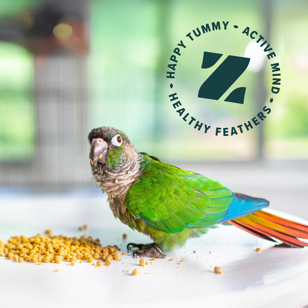 ZuPreem oiseau mangeant les granulés montrant acceptation et plaisir