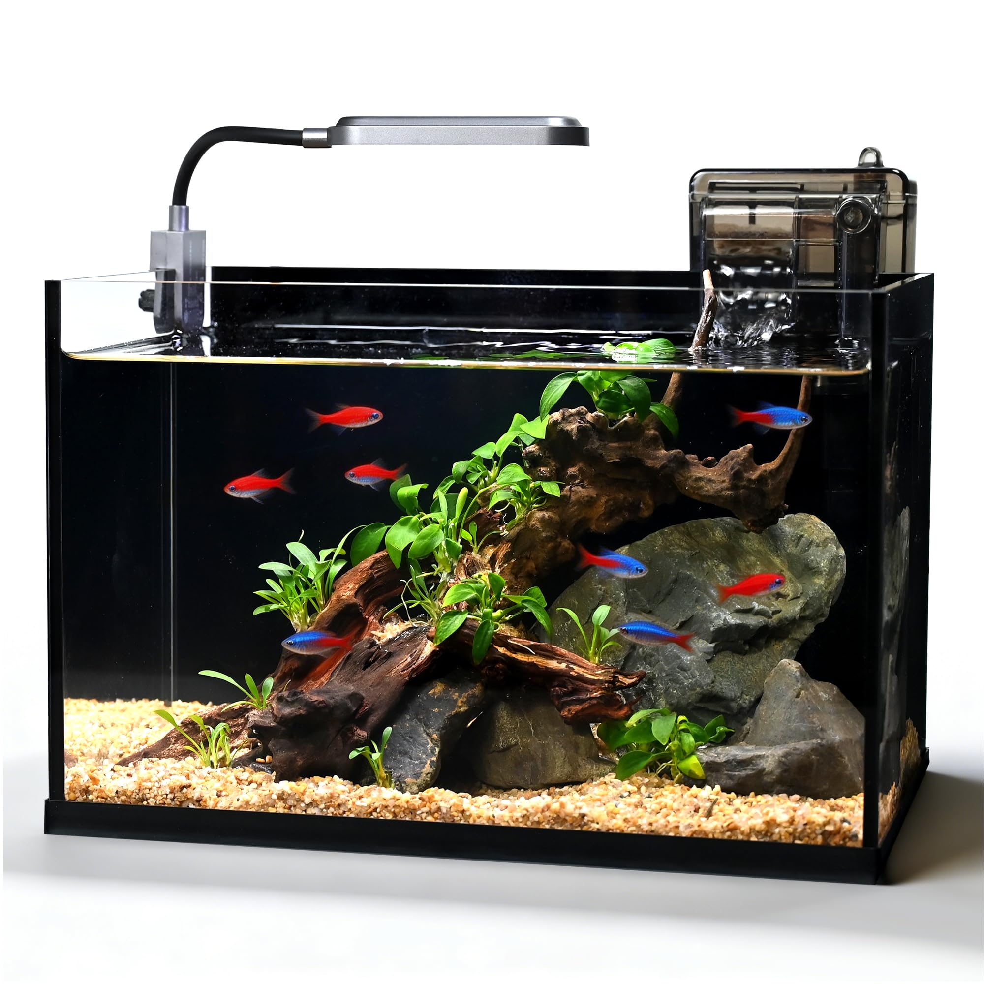 ZXIE-Cloud aquarium vue de face montrant clarté et design