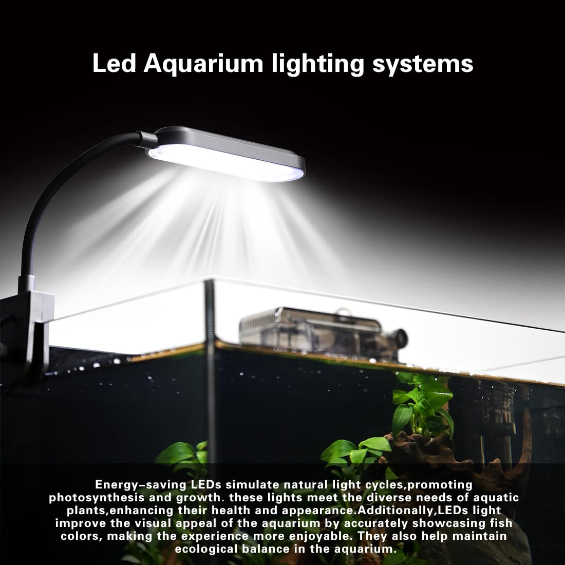 ZXIE-Cloud éclairage LED allumé mettant en valeur poissons et plantes
