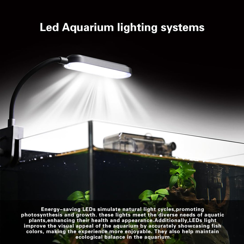 ZXIE-Cloud éclairage LED allumé mettant en valeur poissons et plantes
