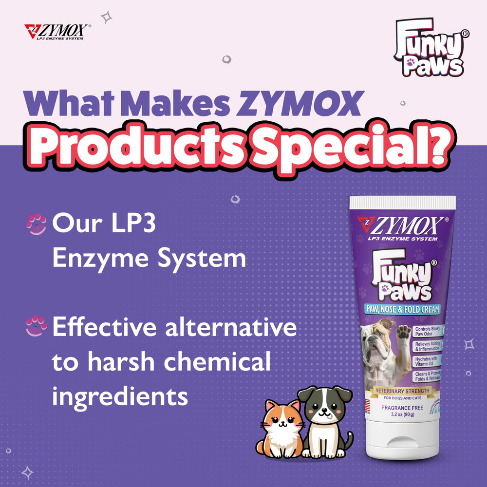Application de Zymox Funky Paws sur patte de chien pour réduire démangeaisons