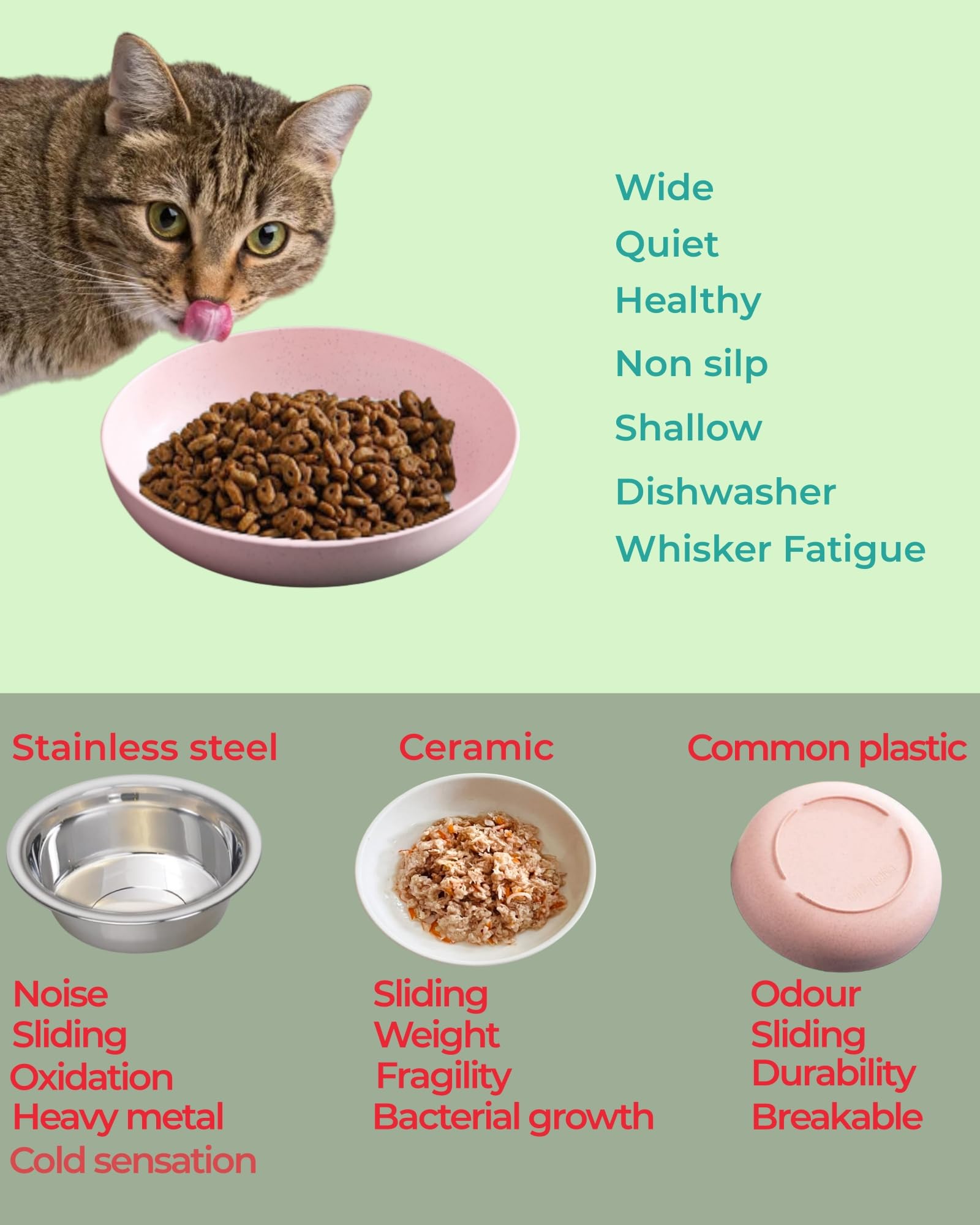 ZYUTONG bol chat couleurs disposées facilite distinction repas et animaux