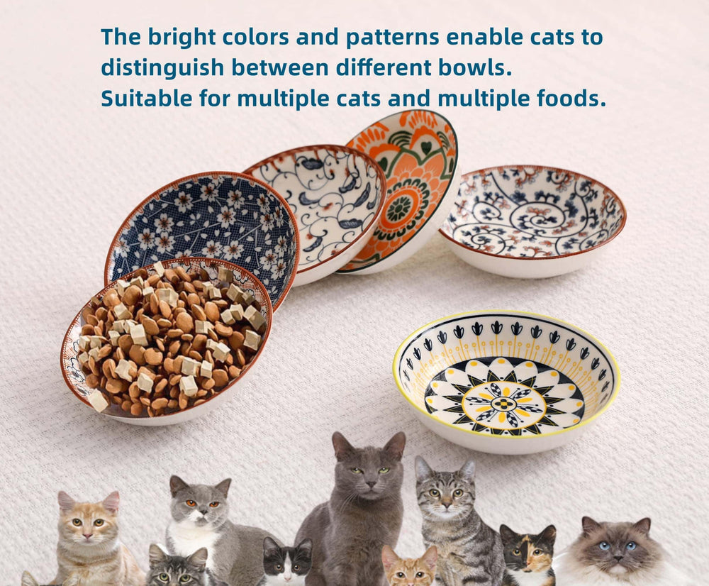 ZYUTONG lots de six bols affichant couleurs variées pour différencier aliments